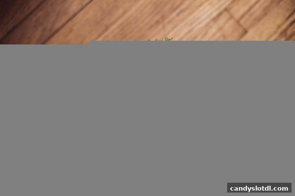 娱乐平台安全评估全攻略：如何识别官方App真伪——糖果派对电子游艺下载实战指南
